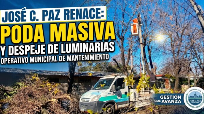 Operativo de mantenimiento en José C. Paz: poda masiva y despeje de luminarias para garantizar mayor seguridad vecinal