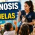 Zoonosis en José C. Paz brinda una jornada educativa en una escuela con alumnos aprendiendo sobre el cuidado de mascotas, perros, gatos y tenencia responsable.